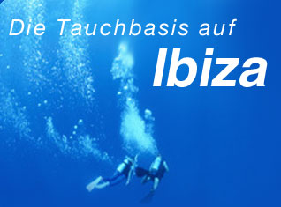 Ibiza, Tauchen, Balearen, Mittelmeer, diving, Bootstauchen